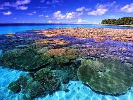 Bunaken Manado - 5