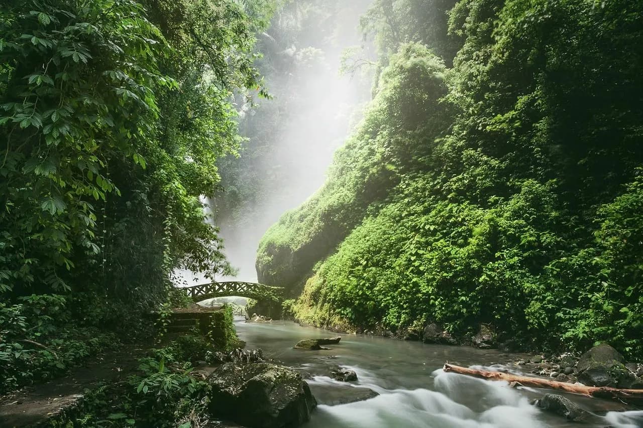 Tomohon Indonesia - 2