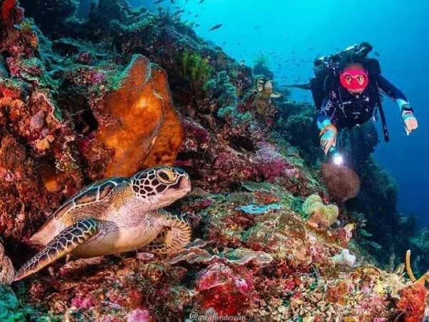 Bunaken Manado - 4