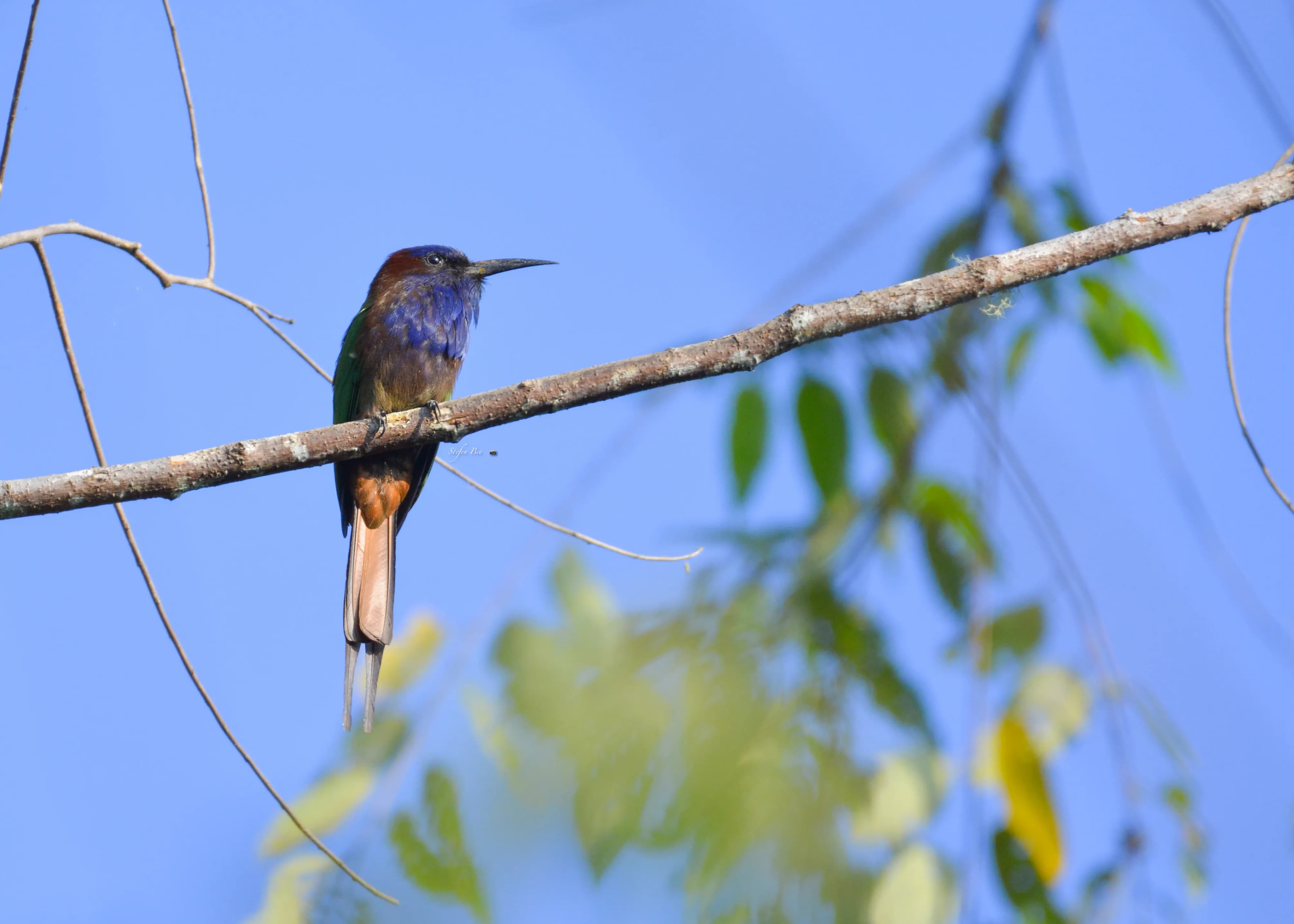 Kotamubagu North Sulawesi - 3