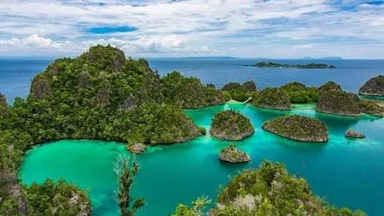west papua