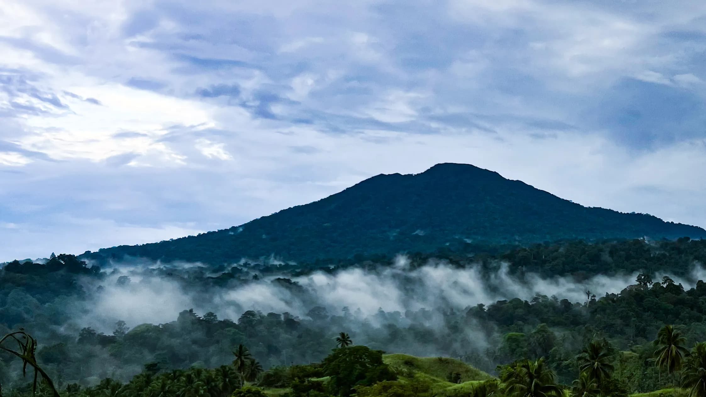 Tangkoko Nature Reserve